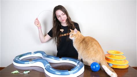The Benefits of a Magic Cat Toy: Mental Stimulation for Your Pet
